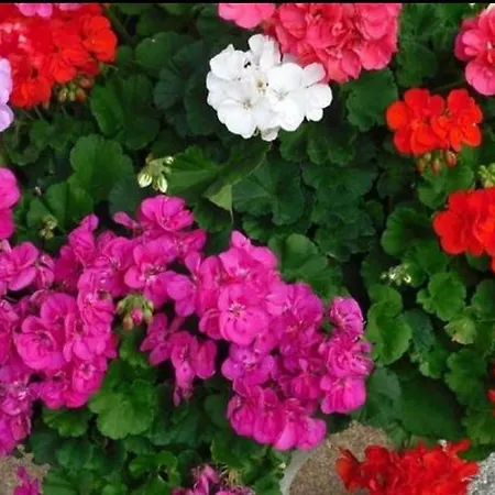 Nocleg ze śniadaniem Lakeside Spittal an der Drau