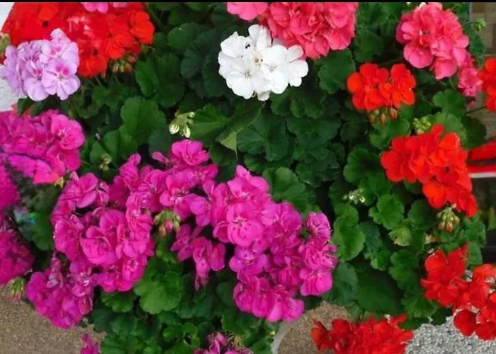 Nocleg ze śniadaniem Lakeside Spittal an der Drau